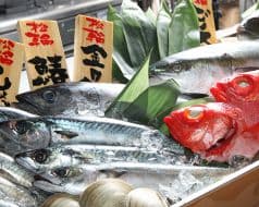 銀座 ごち惣家